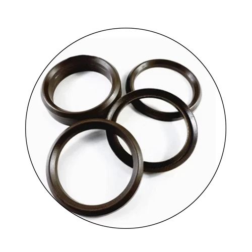 Special O - Rings For Homogenizer Plungers Special O - Rings For Homogenizer Plungers